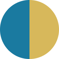 Teal & Gold swatch